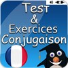 Game - exercices conjugation icon