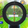 Shooting Master 3D icon