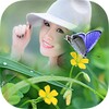 Butterfly Photo Frame 2016 icon