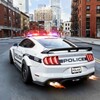 Icono de US Police Car Chase Driving 3D