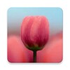 Icono de 3D Tulip Free