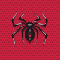 Spider Solitaire Two Suits Game for Android - Download