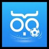 Naaloo icon