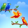 Bird Sort Puzzle icon
