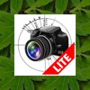 Ícone de AngleCam - Angular Camera