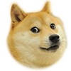 DogeSpin icon