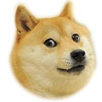 DogeSpin android app icon