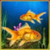 أيقونة Fish Aquarium Livewallpaper