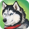 Dog Simulator icon