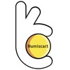 Icono de Numiscart - Buy old coins