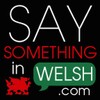 Say Something in Welsh icon