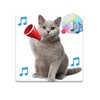 Real Cat Sounds icon