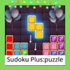 Sudoku Plus:Puzzle icon