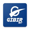 GIBIRNet icon
