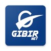 أيقونة GIBIRNet