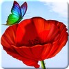 Flowers and Butterflies icon