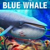 Икона Blue Whale Simulator