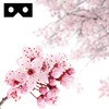 Cherry Blossom VR Sakura icon