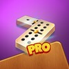 Dominoes Pro icon