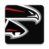 Falcons icon