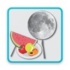 Lunar calendar of fasts and diets icon