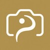 Icono de Posica: Posing Playbook