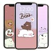 Ikon Bear Wallpaper Cute 4K