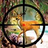 Deer Hunting in Jungle icon