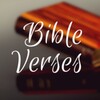 Bible Verses For Everyday icon