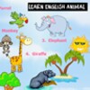 Learn english animal icon