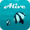 Ocean Alive Video Wallpapers icon