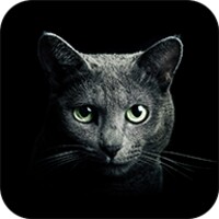 Find a cat android app icon