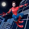Spider Hero Super Challenge icon
