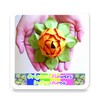 Origami Flowers Instruction icon