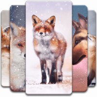 Fox Wallpaper For Android Download The Apk From Uptodown