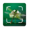 Insect Spider & Bug identifier icon