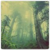 Deep Forest icon
