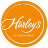 Hurley's icon