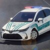 Traffic Police Simulator icon