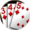 Gin Rummy icon