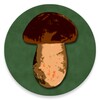Book of mushrooms icon