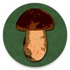 أيقونة Book of mushrooms