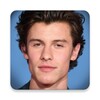 Shawn Mendes icon