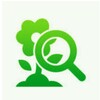 plant id identification icon