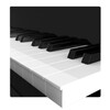 My Piano Assistant icon