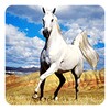 Biểu tượng Horse Live Wallpaper