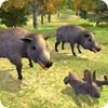 Survive Wild Boar icon