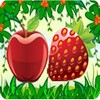 Fruit Book icon