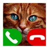 Fake Call Cat icon