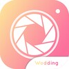 Analog Wedding icon